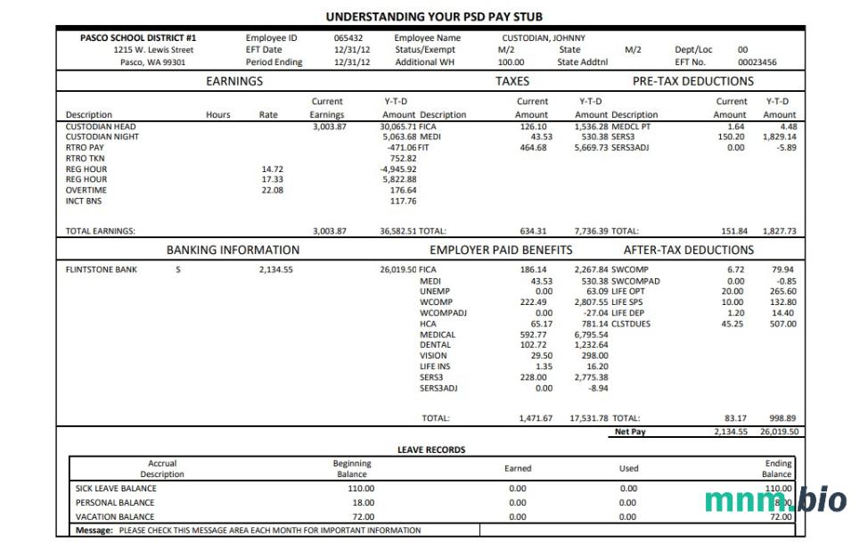 Pasco school district pay stub Word and PDF template
